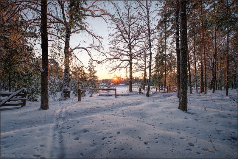 Фото сделанное пользователем rus-lis