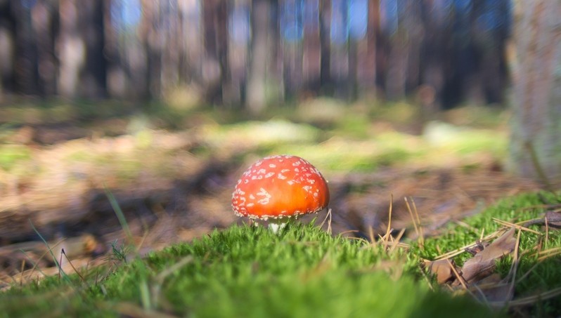 Фото сделанное пользователем Олег Иваныч