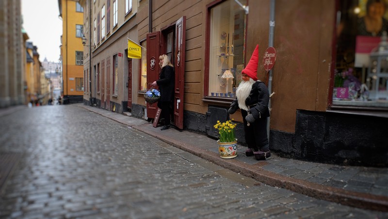 Фото сделанное пользователем Серёжа