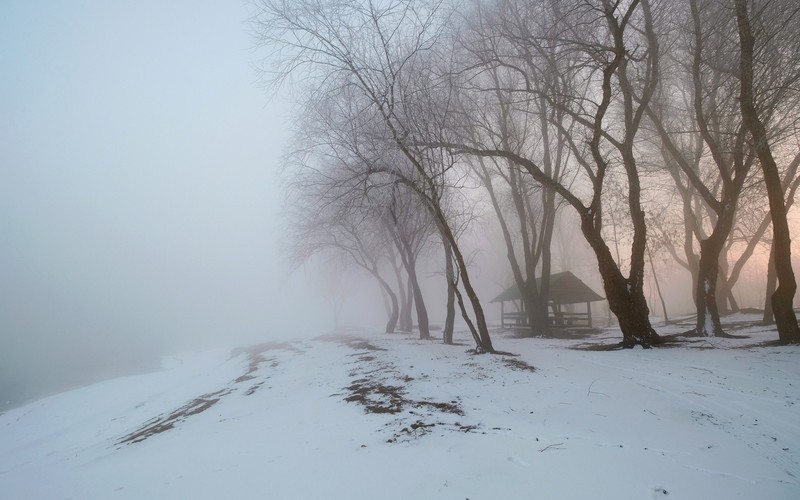 Фото сделанное пользователем Gen68