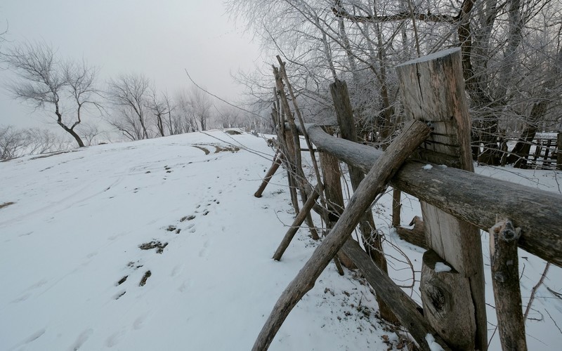 Фото сделанное пользователем Gen68