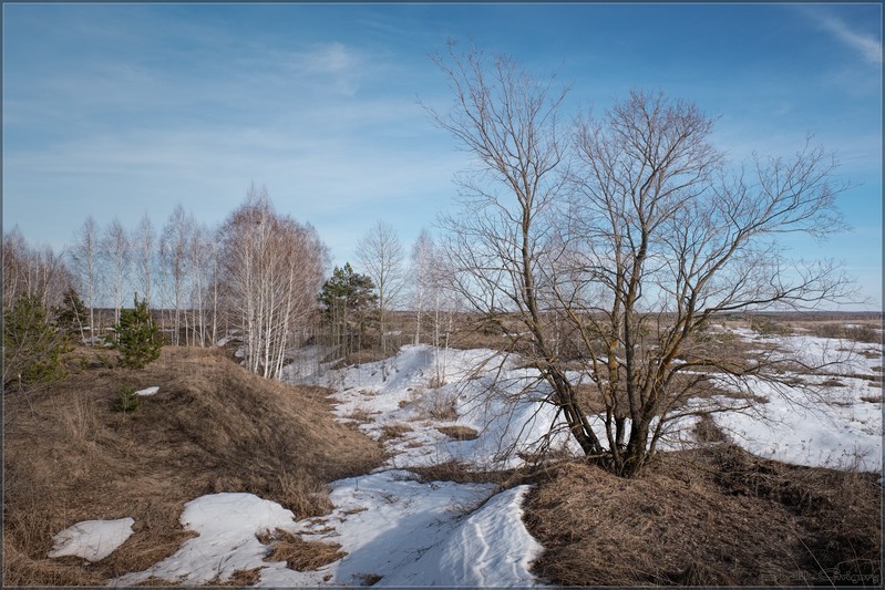 Фото сделанное пользователем rus-lis