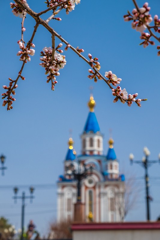 Фото сделанное пользователем swlad