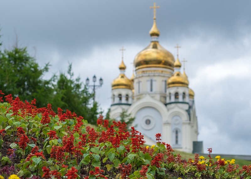 Фото сделанное пользователем swlad