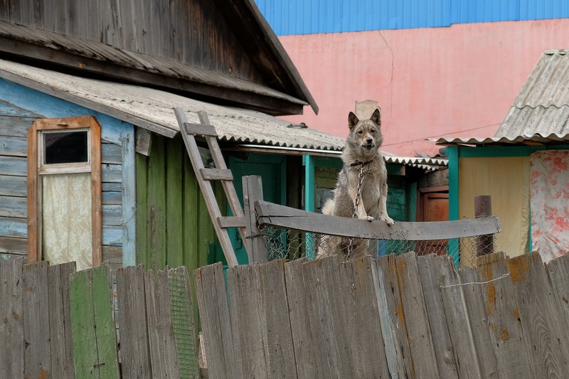 Фото сделанное пользователем swlad