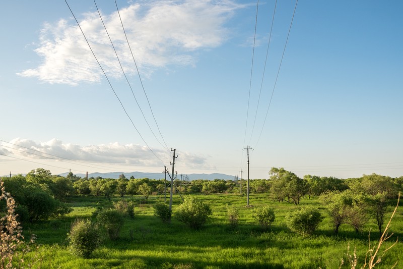 Фото сделанное пользователем swlad