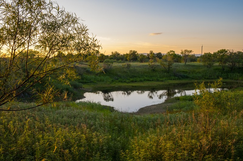 Фото сделанное пользователем swlad