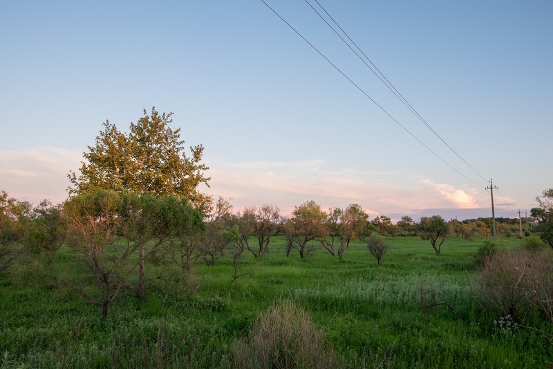 Фото сделанное пользователем swlad