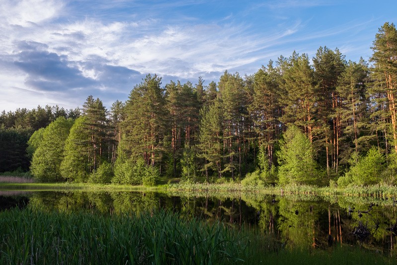 Фото сделанное пользователем rhbiyfbn