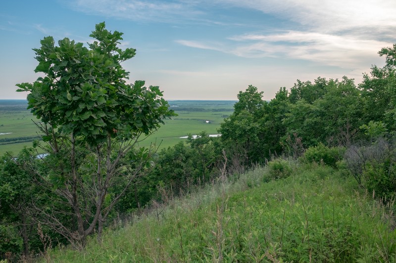 Фото сделанное пользователем swlad