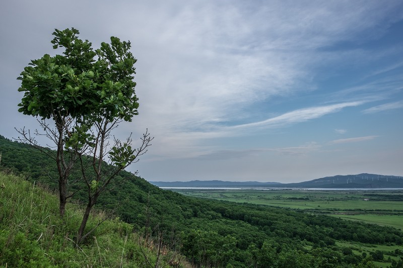 Фото сделанное пользователем swlad