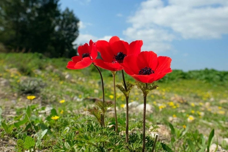 Фото сделанное пользователем YLev