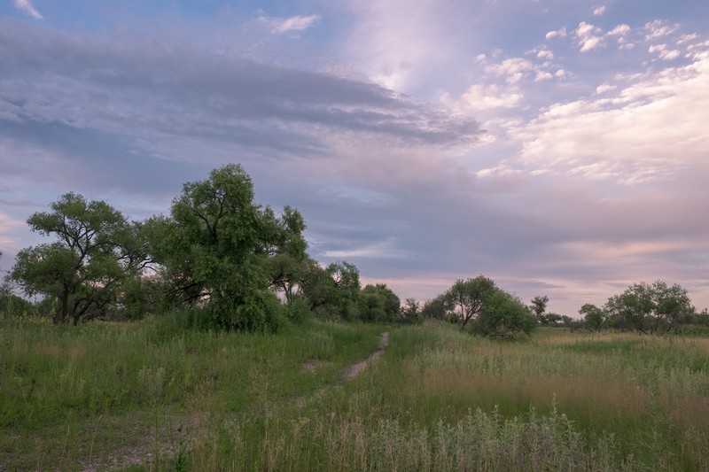 Фото сделанное пользователем swlad