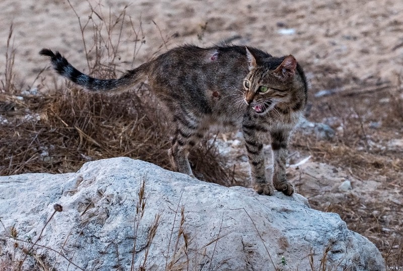 Фото сделанное пользователем YLev