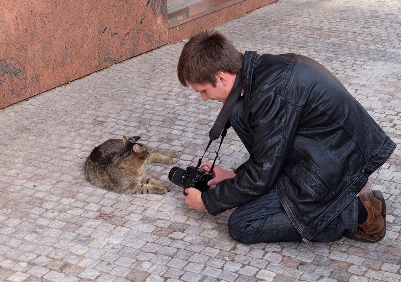 Фото сделанное пользователем Alexxp