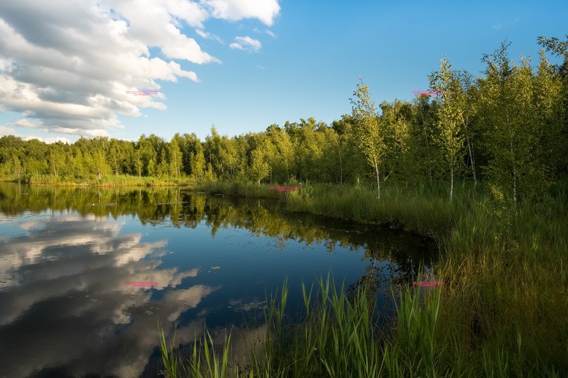 Фото сделанное пользователем rentgenolog