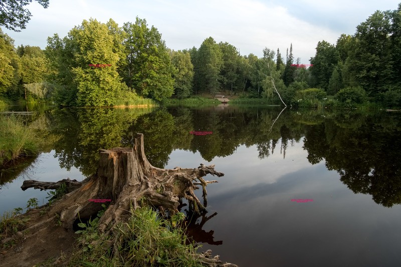 Фото сделанное пользователем rentgenolog