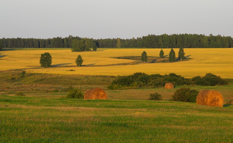 Фото сделанное пользователем Nikkc