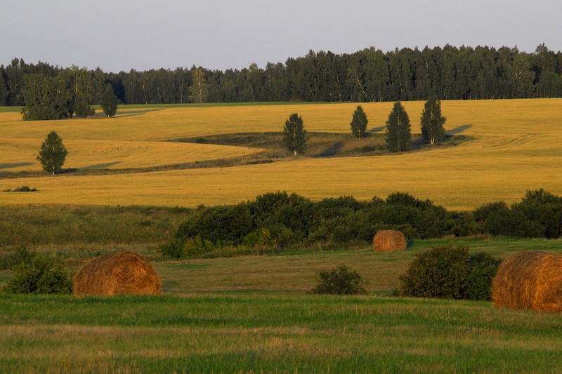 Фото сделанное пользователем Nikkc