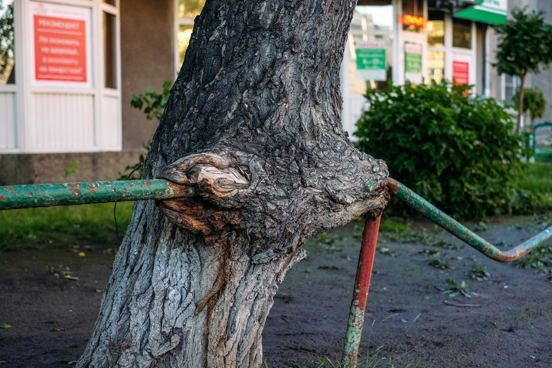 Фото сделанное пользователем Mak V