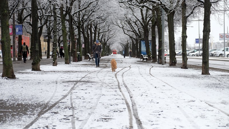 Фото сделанное пользователем Серёжа