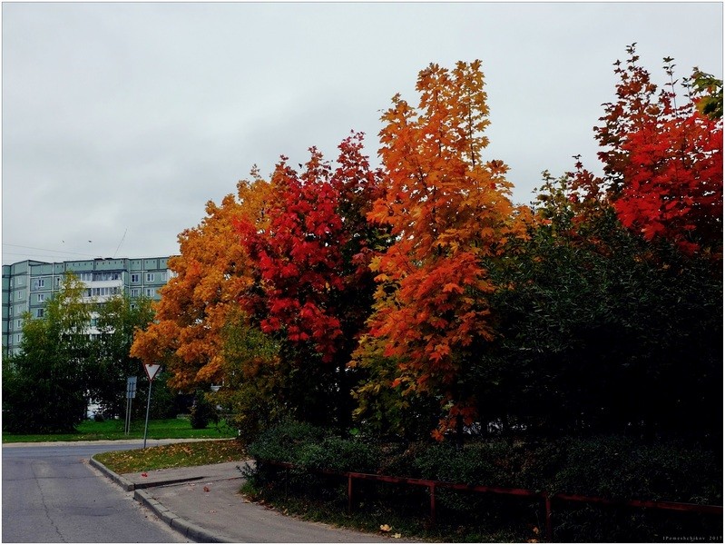 Фото сделанное пользователем igorcentr