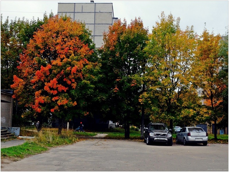 Фото сделанное пользователем igorcentr