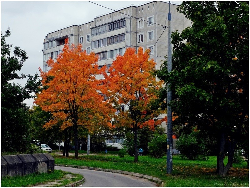 Фото сделанное пользователем igorcentr