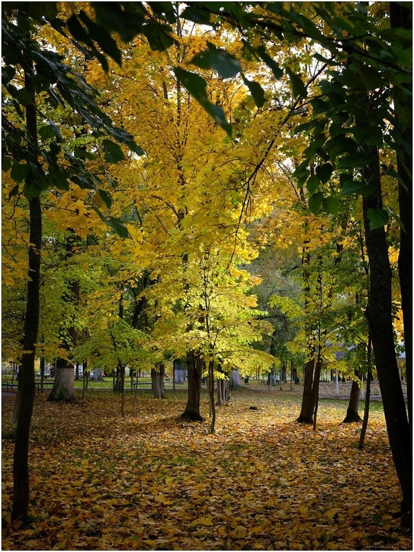 Фото сделанное пользователем igorcentr