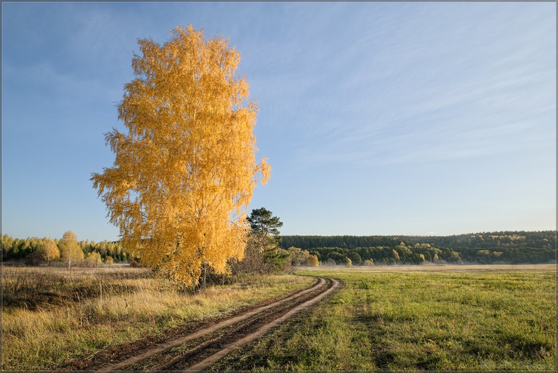 Фото сделанное пользователем rus-lis