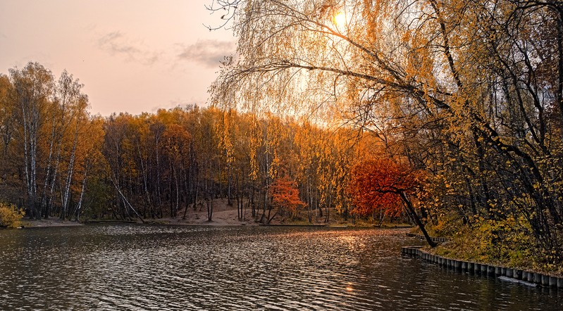 Фото сделанное пользователем IBEAR