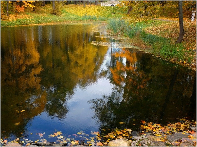 Фото сделанное пользователем igorcentr