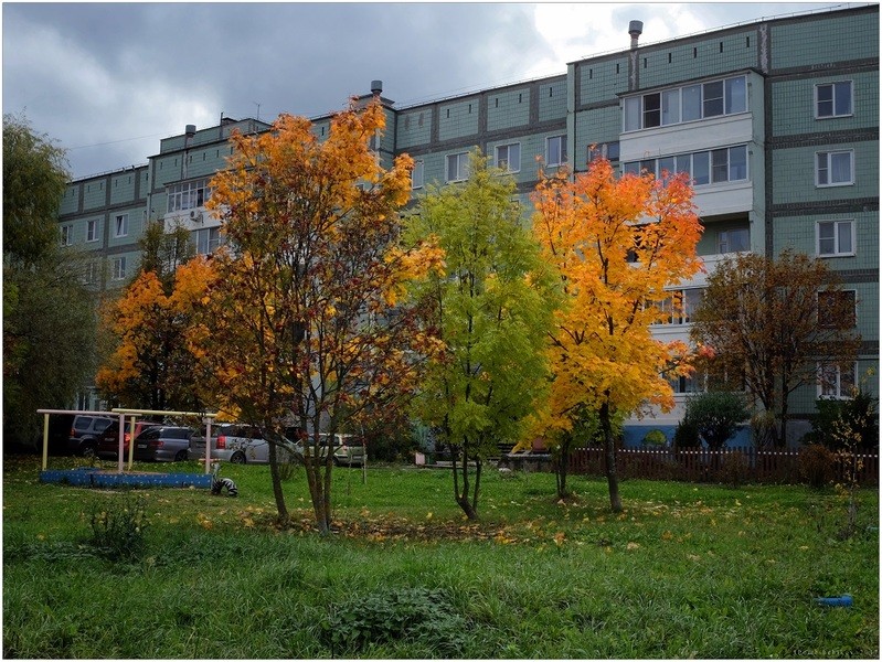 Фото сделанное пользователем igorcentr