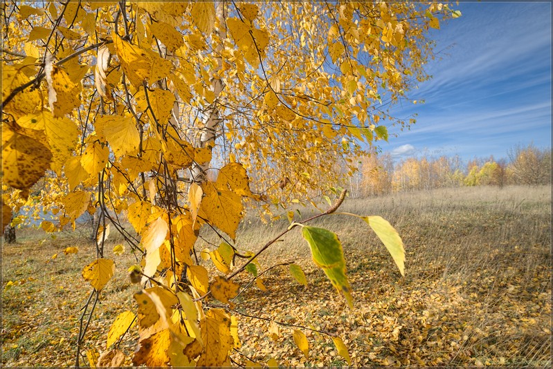 Фото сделанное пользователем rus-lis