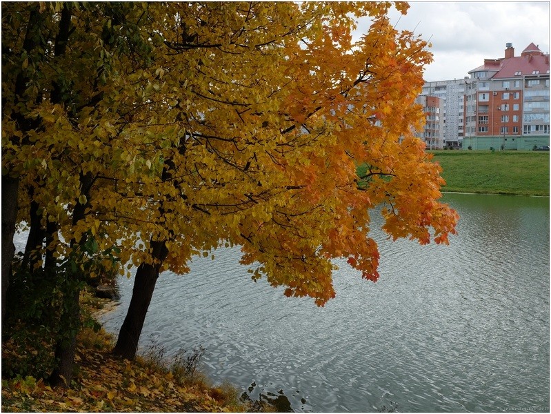 Фото сделанное пользователем igorcentr