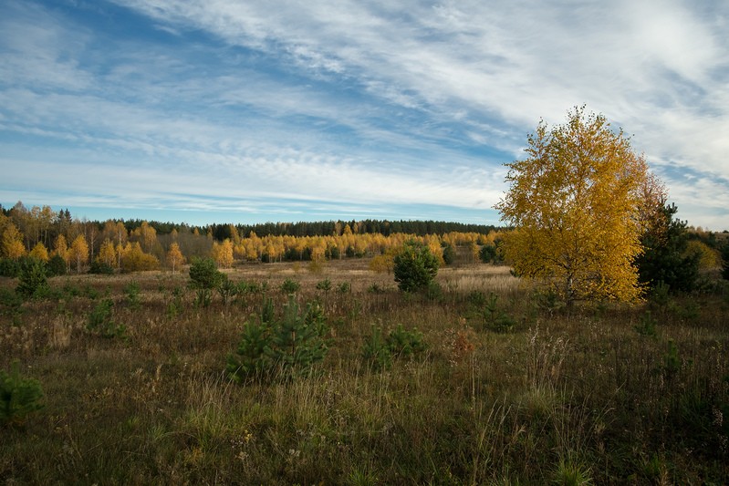 Фото сделанное пользователем rhbiyfbn