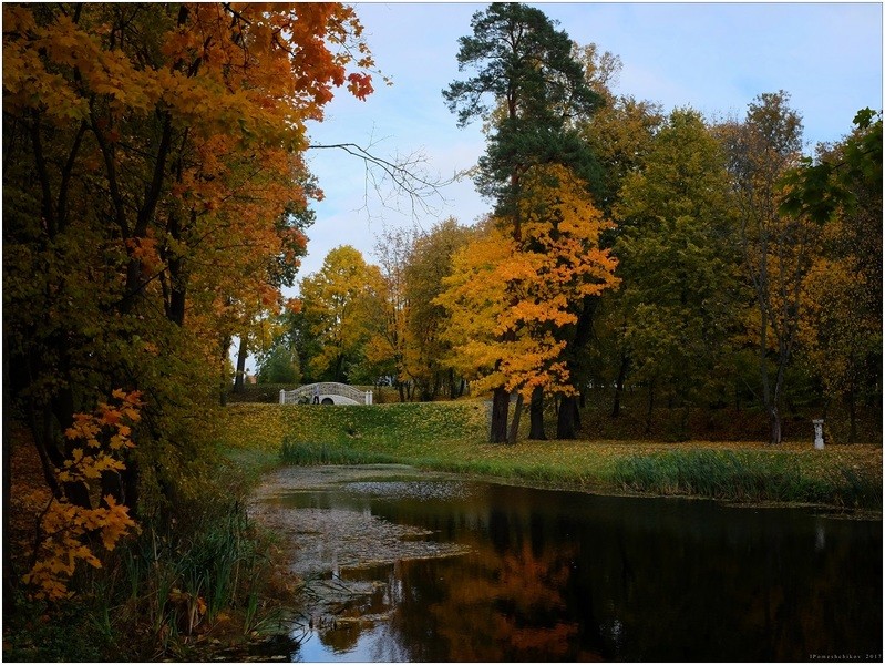 Фото сделанное пользователем igorcentr