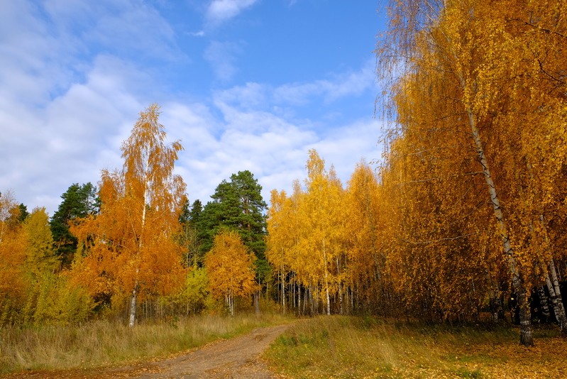 Фото сделанное пользователем Igor222