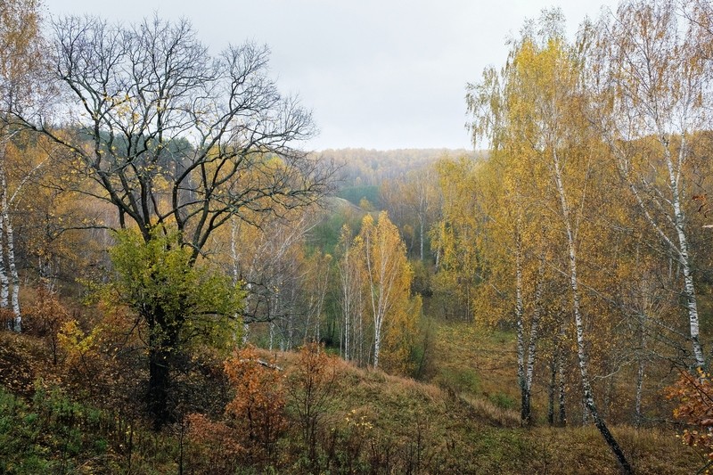 Фото сделанное пользователем Paavo