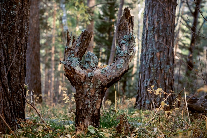 Фото сделанное пользователем Mak V