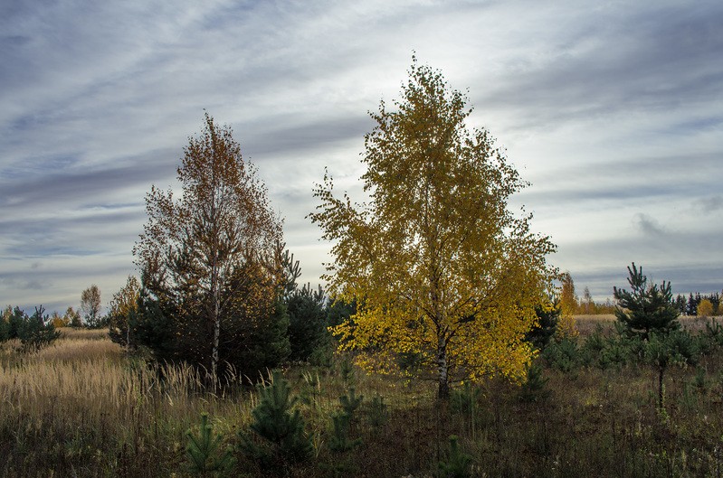 Фото сделанное пользователем rhbiyfbn