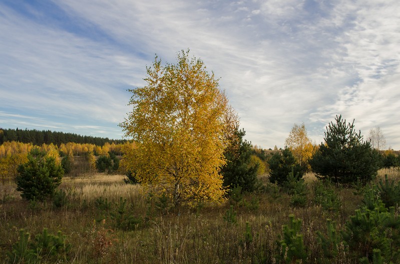 Фото сделанное пользователем rhbiyfbn