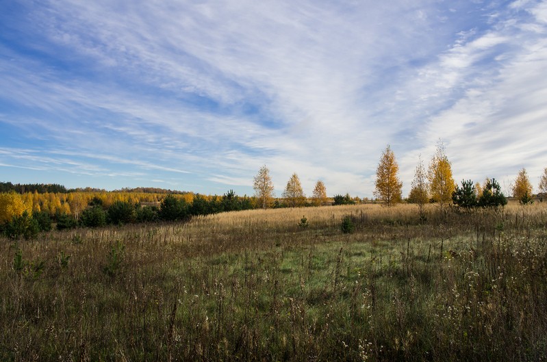 Фото сделанное пользователем rhbiyfbn