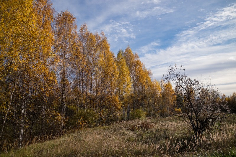 Фото сделанное пользователем rhbiyfbn