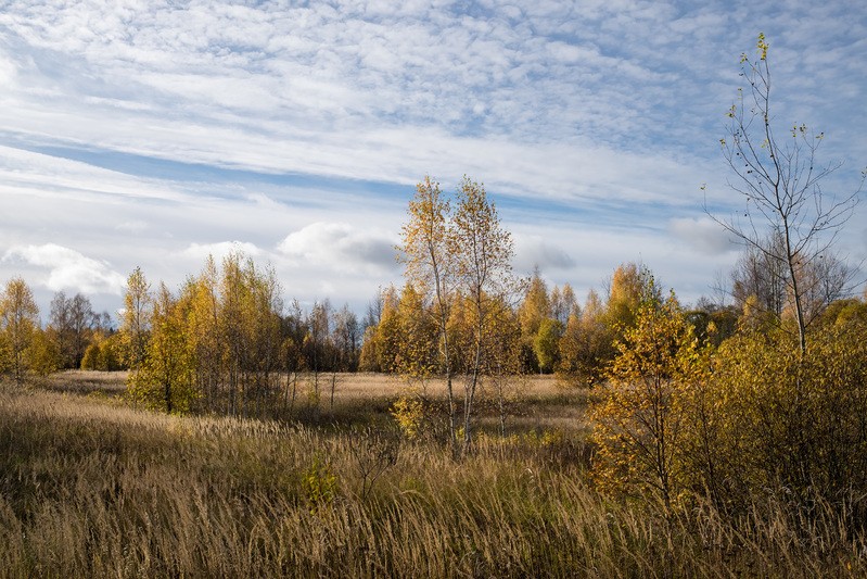 Фото сделанное пользователем rhbiyfbn