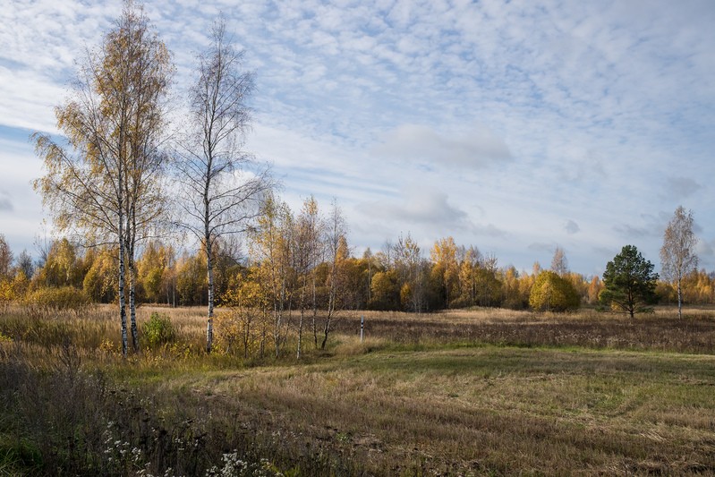 Фото сделанное пользователем rhbiyfbn