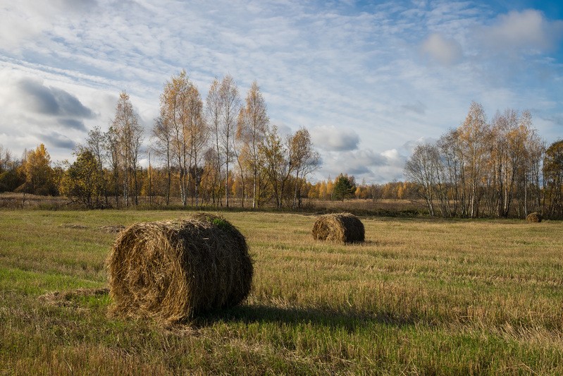 Фото сделанное пользователем rhbiyfbn