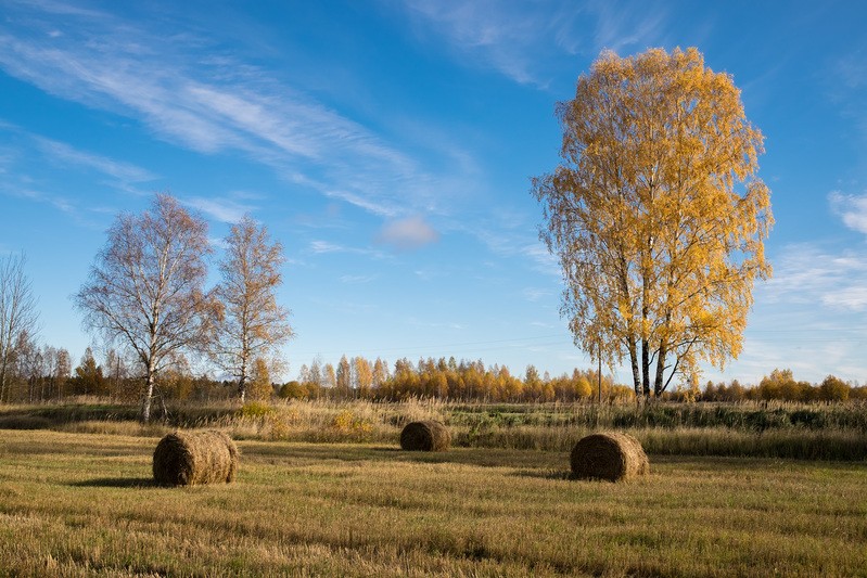 Фото сделанное пользователем rhbiyfbn