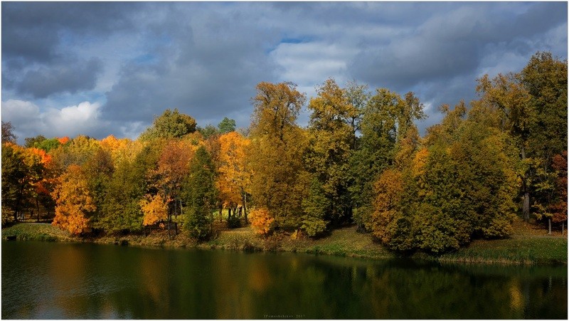 Фото сделанное пользователем igorcentr