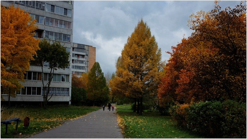 Фото сделанное пользователем igorcentr